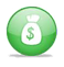 money bag